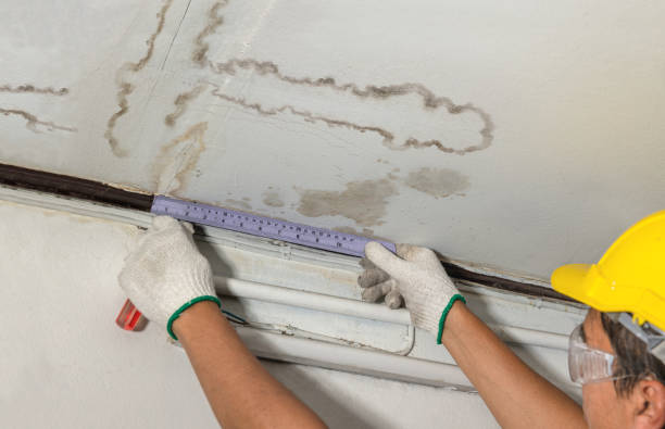 Reliable Water Damage Repair contractor in Schwenksville, PA by Hirex Water Damage